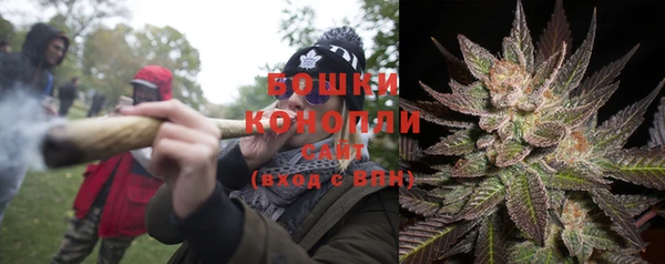 гидра Покров