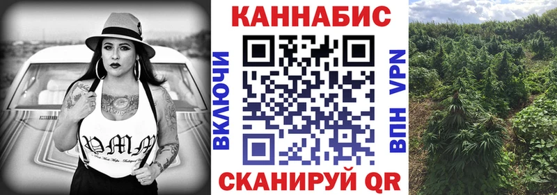 Каннабис индика  Ленск 